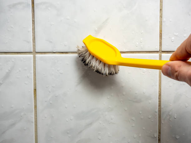 Professional Mold Remediation in Sauk Centre, MN
