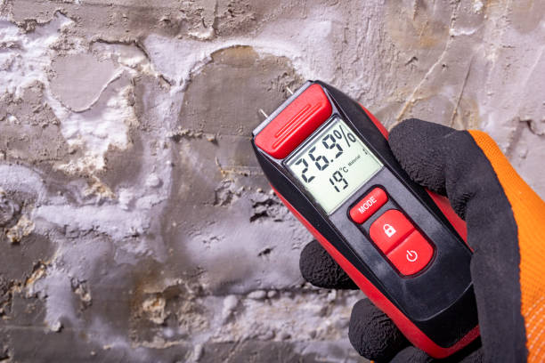 Best Localized Mold Remediation (e.g., coastal areas, humid climates) in Sauk Centre, MN